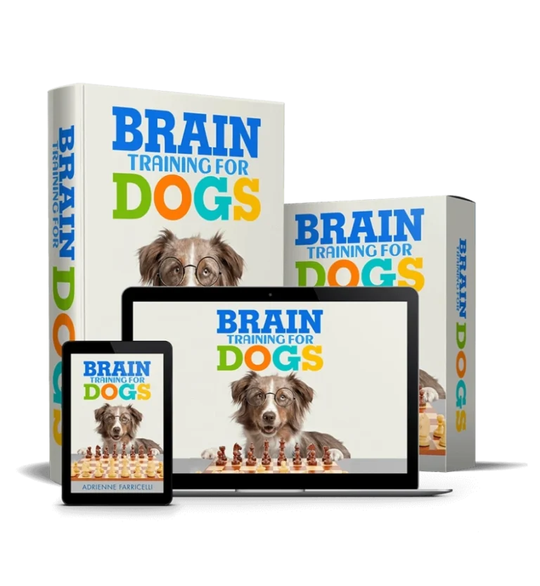 Brain Training for Dogs book and digital course bundle with a dog wearing glasses in front of a chessboard.
