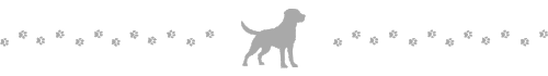 Decorative horizontal divider with a dog silhouette in the center and paw prints on both sides.