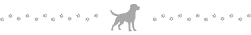 Decorative horizontal divider with a dog silhouette in the center and paw prints on both sides.
