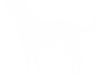 White silhouette of a standing dog facing left.